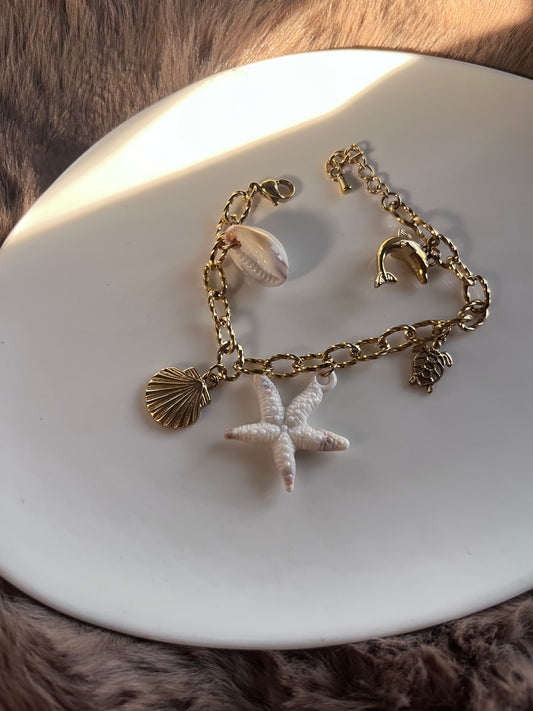 Sea shells and charm bracelet