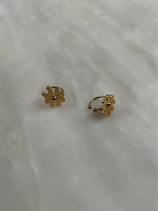 Ear cuffs