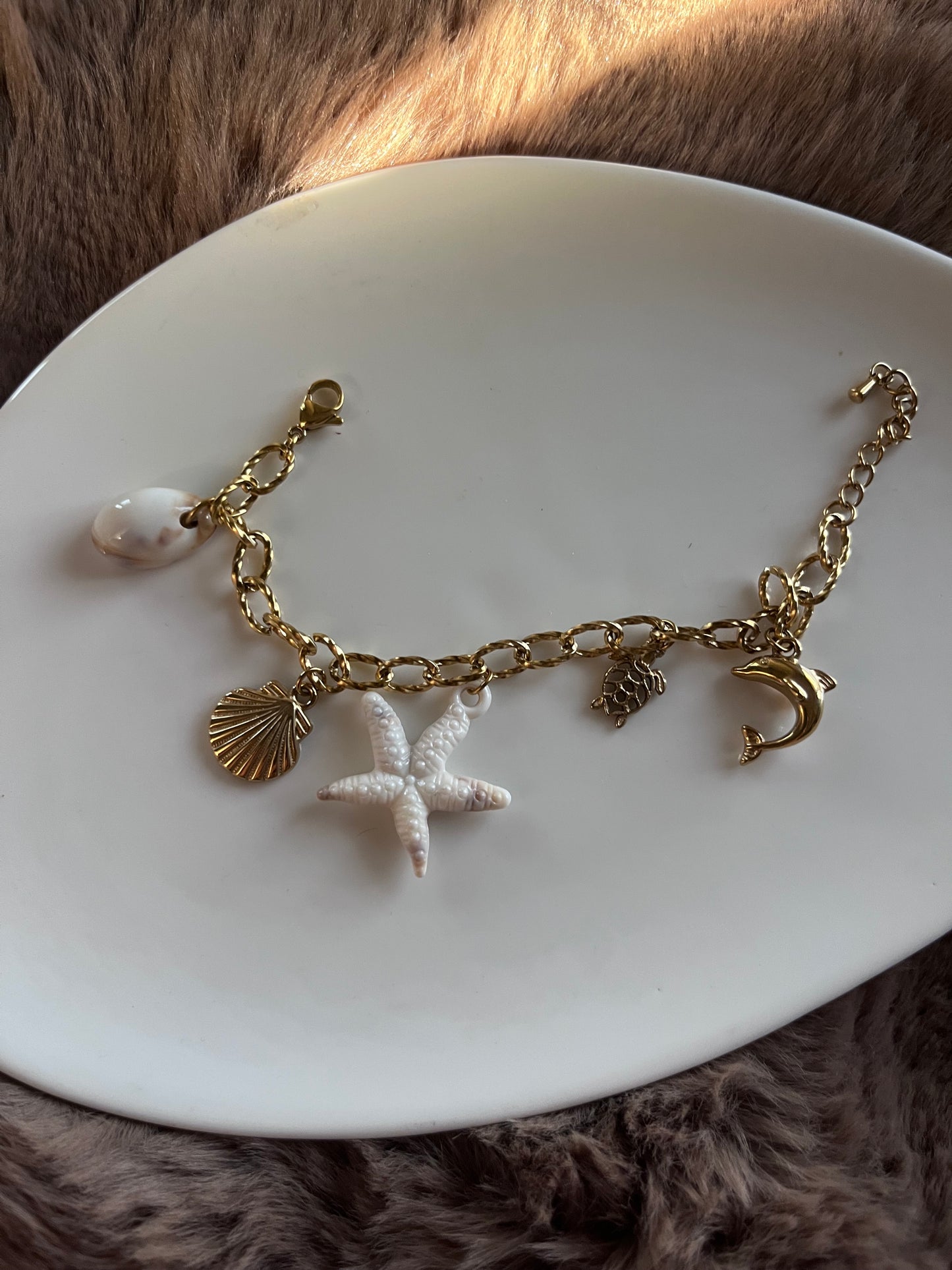 Sea shells and charm bracelet