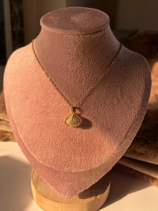 Shell with pearl necklace