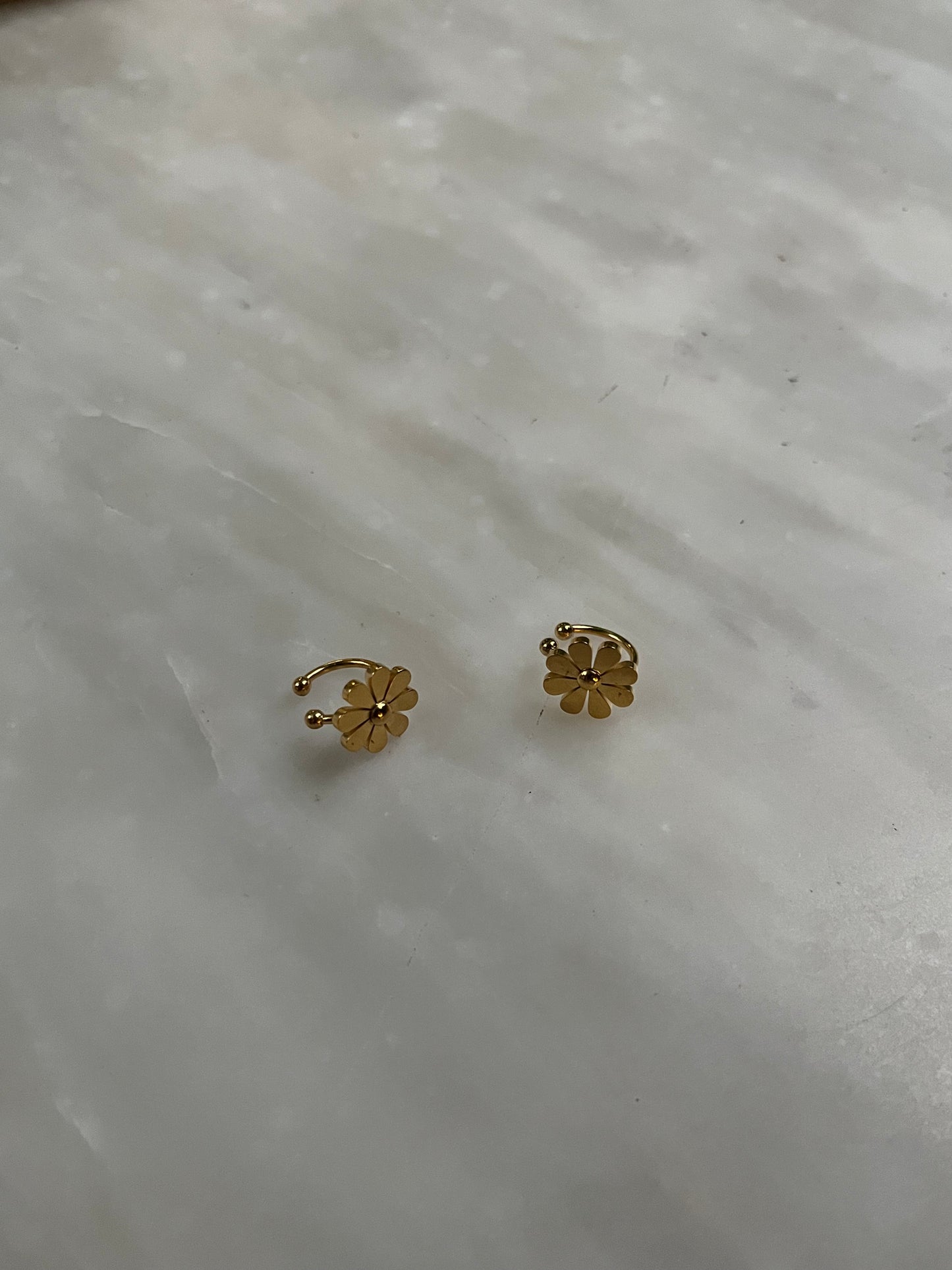 Ear cuffs