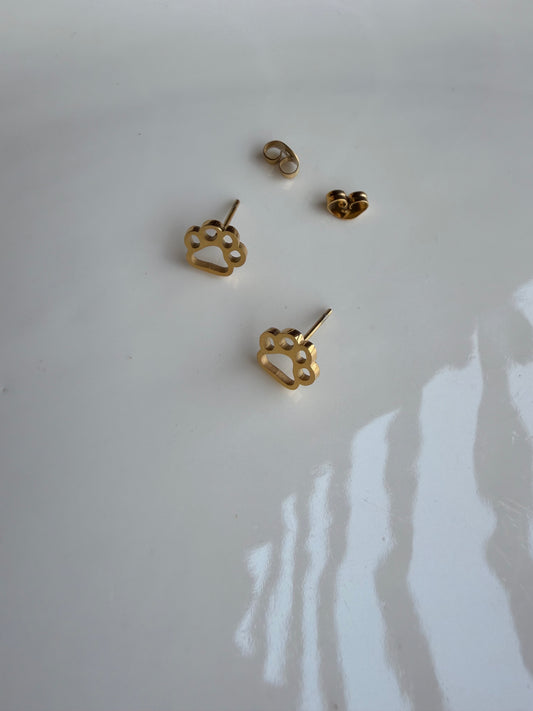 Paws studs