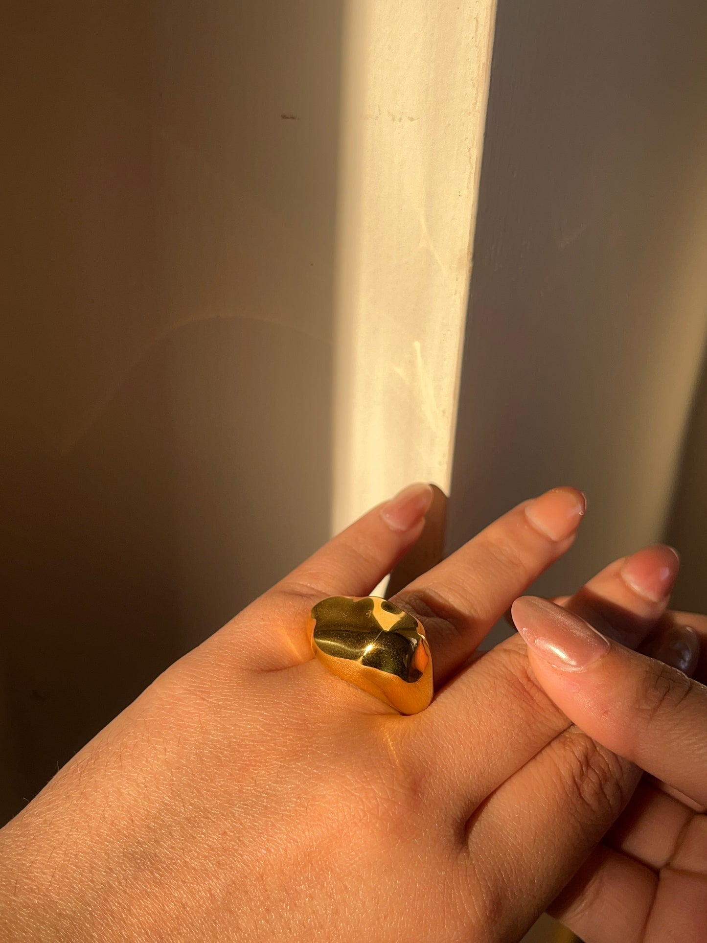 Bolt ring