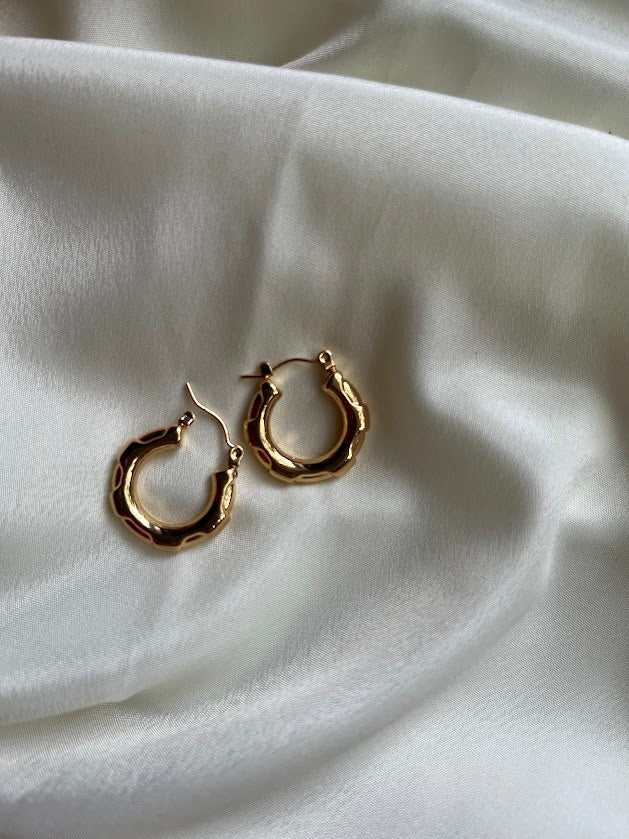 Selena Hoops